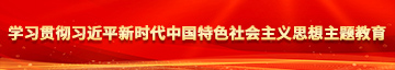 美女被操骚屄学习贯彻习近平新时代中国特色社会主义思想主题教育